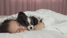 Papillon dog wakes teen girl in bed stock footage video