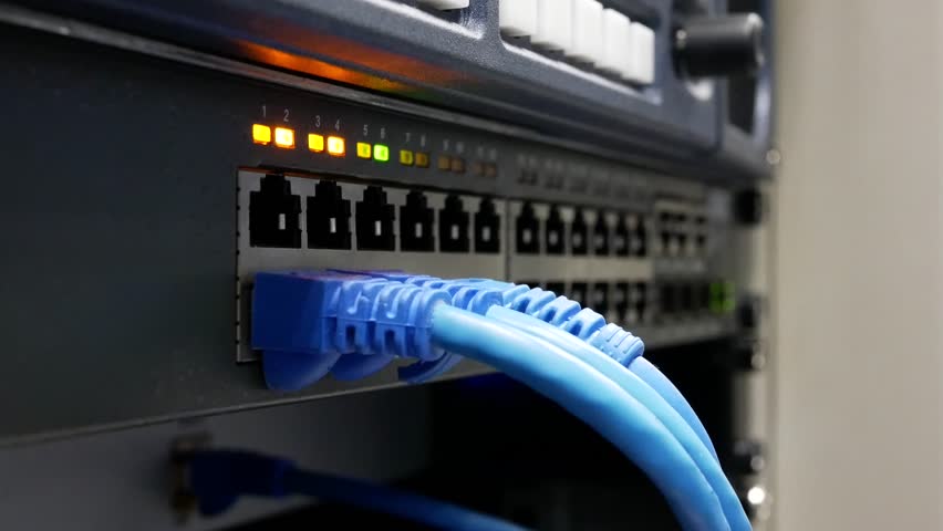 closeup of LAN cable Server Internet Connected. Royalty-Free Stock Footage #1020182668