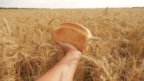 man holds a bread in a wheat field lifestyle. slow motion video. successful agriculturist in field of wheat. harvest time. bread baking vintage agriculture concept