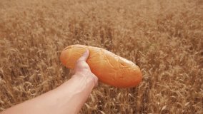 Man holds a loaf in a wheat field.slow motion video. successful agriculturist in field of wheat lifestyle. harvest time. bread baking vintage agriculture concepts