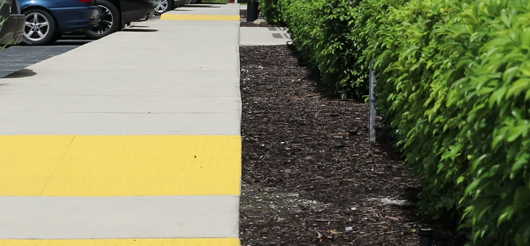 Person walking down the sidewalk distracting a couple of birds in the bushes