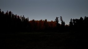 Beautiful time lapse video of meadow illumination at sunrise