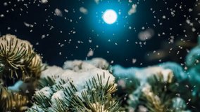 soft snowfall in the winter forest on a moonlit night, a beautiful evening winter landscape with falling snow, video loop - Powered by Shutterstock - Get 15% off with code: PIKWIZARD15