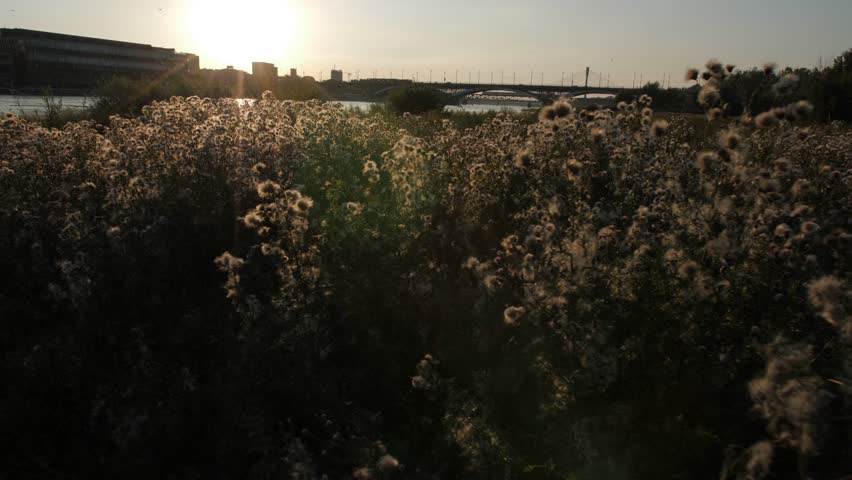 Beautiful city skyline seen during sunset over river in Warsaw, Poland.