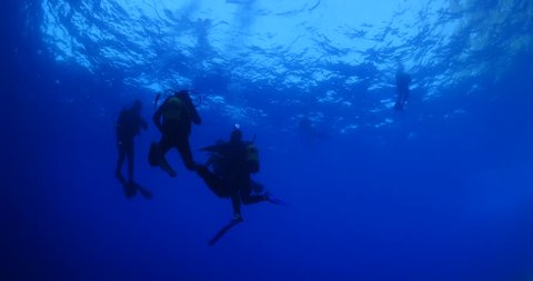 silhouette of scuba divers on surface of water underwater ascend descend