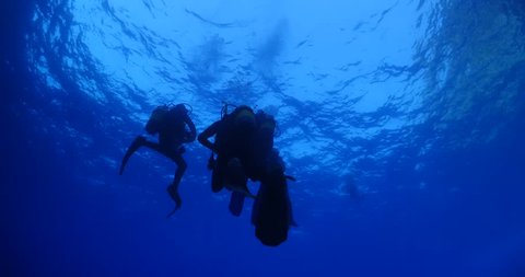 silhouette of scuba divers on surface of water underwater ascend descend