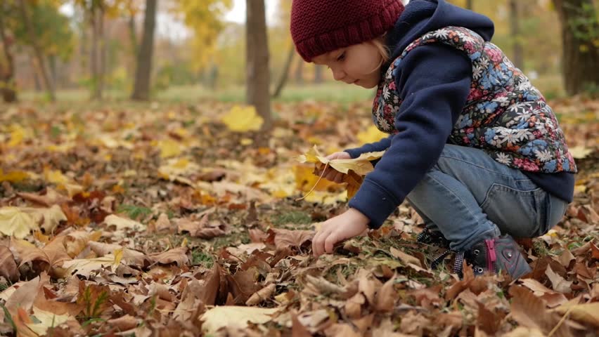 The girl collects yellow leaves. Autumn