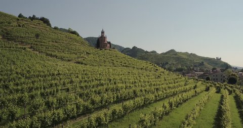 fly in Prosecco hills. Vineyard, wine. UNESCO World Heritage