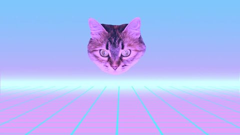 Minimal Motion design art. Cat's head shoots rainbow laser from her eyes