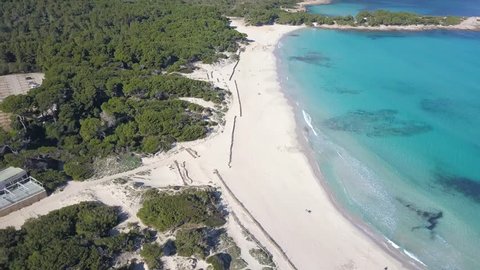Drone flying over large forest and slowly revealing the beautiful empty beach of Calla Agulla, Mallorca. A Very popular European travel destination located in the Spanish Balearic Islands.