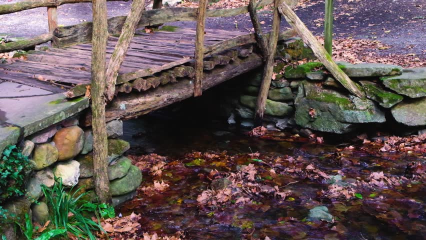 A person crosses the river by a bridge in the autumn forest