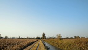 Country dirt road in Lomellina at sunset - Powered by Shutterstock - Get 15% off with code: PIKWIZARD15