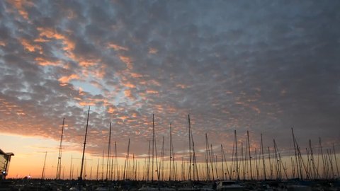 Peaceful view on small harbour with many parked sailing boats at early morning before sunrise. Seagulls flying above marina in front of blue sky with pink pastel clouds