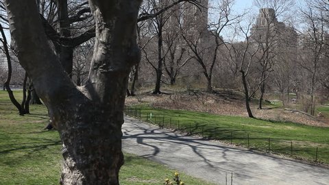 1113. Sunny day in central park, Mobility scooter passes by. Tree in the foreground, sunny day in NYC in the autumn. 