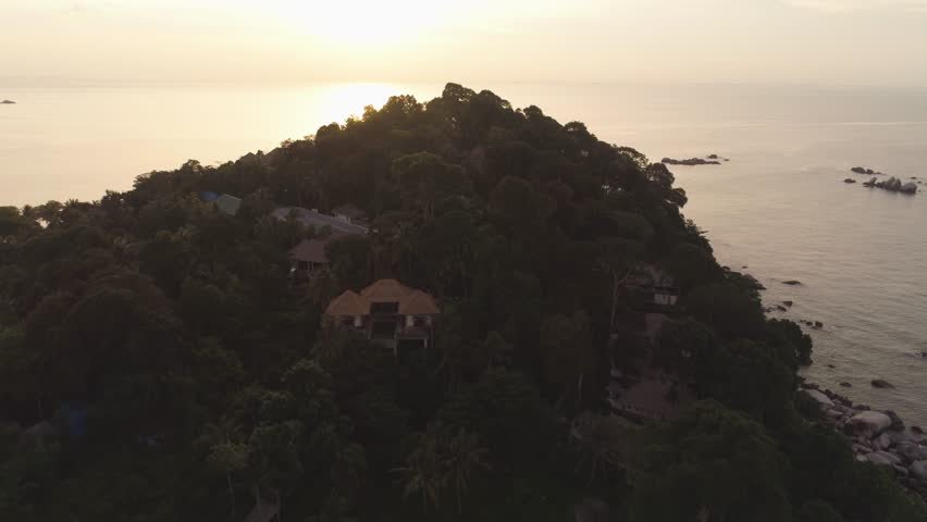 Trees growing on a rock surrounded by sea on sunset sky background. Shot. Cliff covered by green trees on wonderful seascape background.