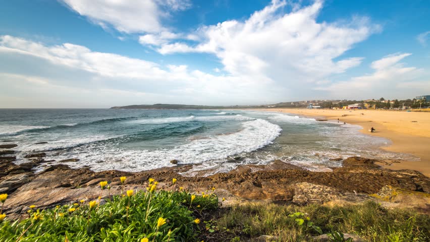 Time-lapse of Maroubra beach with foreground flower and cloud in sky pan left from beach to ocean