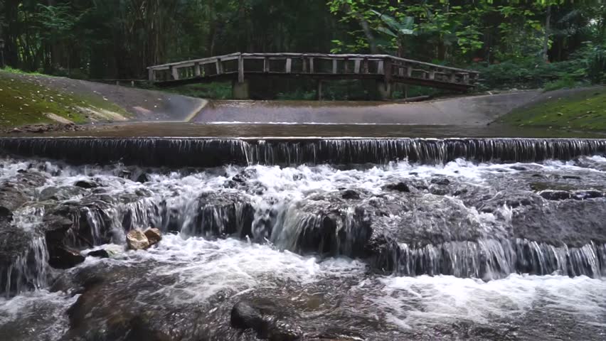Creek flows through the park