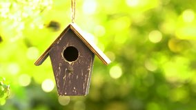 4K video clip of a bird house hanging in a tree in a green garden during spring or summer