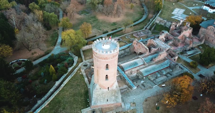 Castle ruins and tower. View from above.