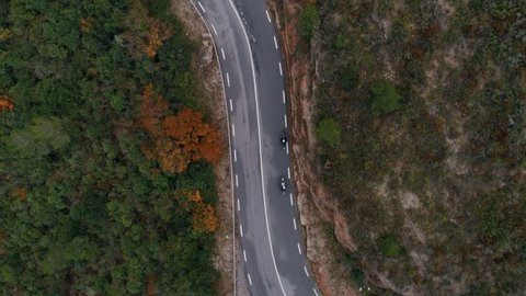 Aerial drone camera follows two fast motorcycles ride on empty small countryside road through autumn fall forest. Beautiful background cover video. Adventure and outdoor camping vibes lifestyle