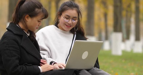 Two happy young asian college student using laptop in the autumn park or campus, 4k slow motion Stock Video