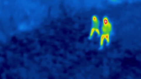 Thermal camera view,  two walking human from above, in a meadow