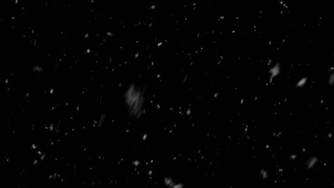 Snow Falling. Dense Snowflakes In A Snowstorm. Loop Motion. Snow Snowfall Snowflake Particles Seamlessly Loop Black Alpha Green Screen Animation
