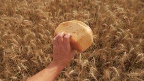 man holds a golden bread in a wheat field. slow motion video. lifestyle successful agriculturist in field of wheat . harvest time. bread baking vintage agriculture concept
