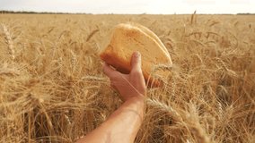man holds a bread in a lifestyle wheat field. slow motion video. successful agriculturist in field of wheat. harvest time. bread baking vintage agriculture concept