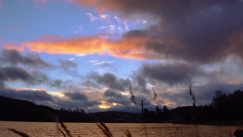 Silhouettes of ears of dry grass swaying against the background of the river and the sky at sunset.