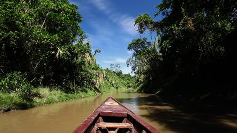 a boat travelling through a small canal in peruvian amazon