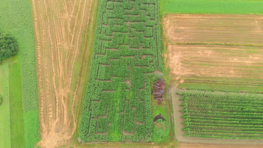 We can see two brown and one green field. Aerial shot. They are very nicely arranged.