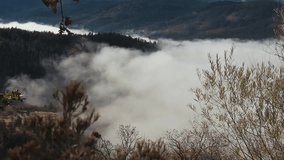 Timelapse of Fog and clouds rolling over wild Oregon County side. Shot in the day