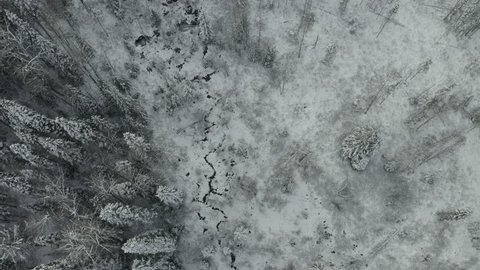A cinematic,ing, aerial view of the overcast, winter-clad forests and surrounding wilderness during early winter months.