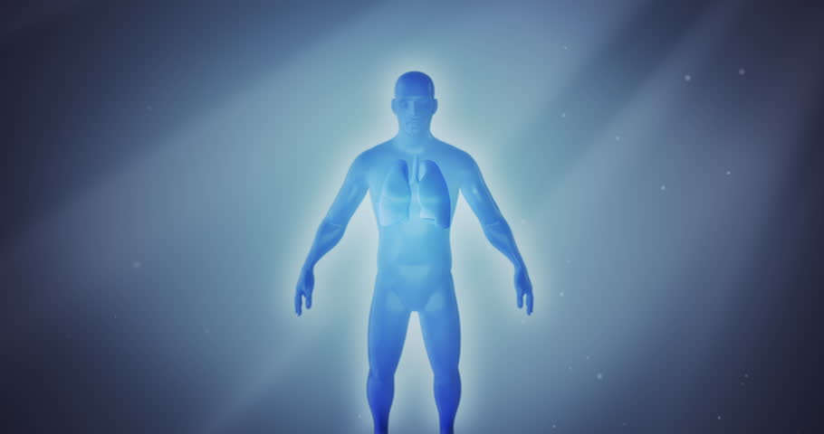 3D anatomy man suffering from lung disease, chest pain, asthma, emphysema, bronchitis, tuberculosis, pneumonia, cancer, infection or COPD on a dramatic background. Video a great for medical purposes. Royalty-Free Stock Footage #1020389257