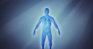3D anatomy man suffering from lung disease, chest pain, asthma, emphysema, bronchitis, tuberculosis, pneumonia, cancer, infection or COPD on a dramatic background. Video a great for medical purposes.