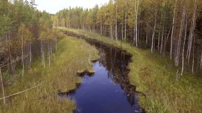 Aerial footage of a beautiful river in the borealis wilderness. Autumn colored forest. Great place for canoeing.