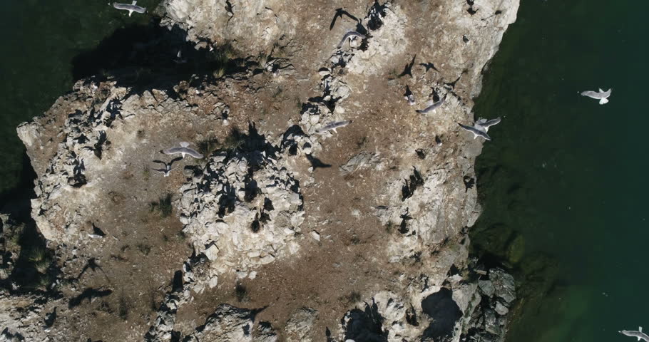 Aerial. Mongolia from above. Bird Island. Uureg Nuur Lake