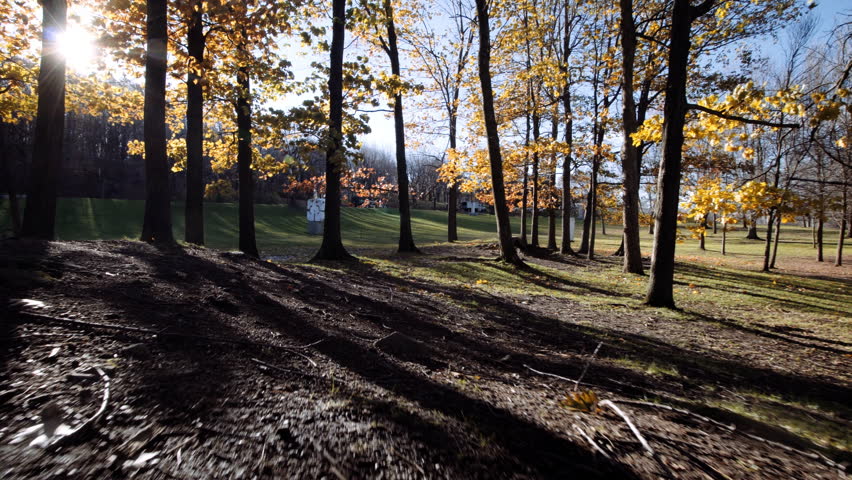 Moving shots of the surroundings of the Mount-Royal in autumn in Montreal, Quebec, Canada.