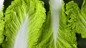 Fresh chinese cabbage leaves on dark background surface. Close up 4k footage.