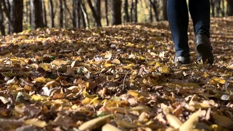 female slowly walks along the fallen leaves along the sunlit forest strip from the camera