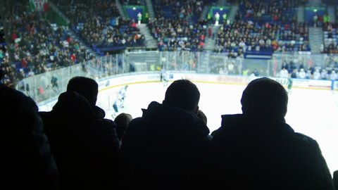 A group of young people watching hockey match