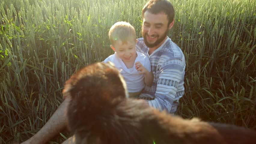 Father and son playing with a dog on the wheat field. Father