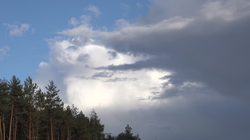 wind drives rainy clouds and pine forest. Autumn season.