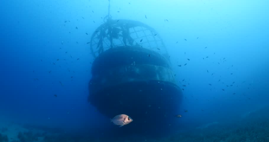 Ship wreck underwater with fish around | Shutterstock HD Video #1020413284