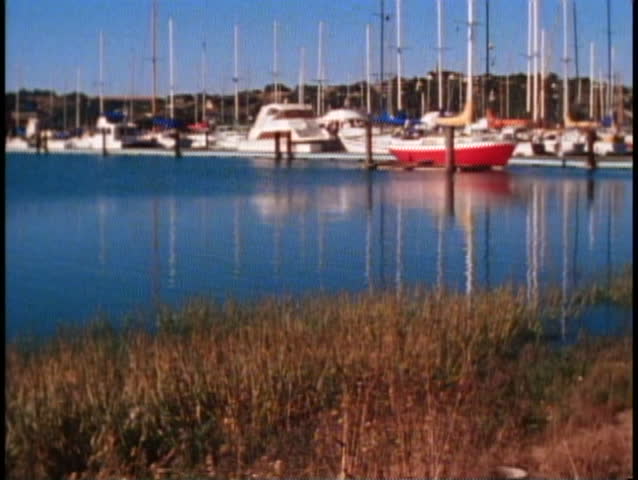 SAUSALITO, CALIFORNIA, 1979, Marina, grasses, tilt up, masts of sailboats