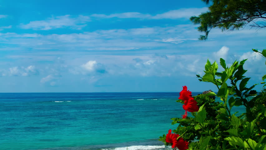 Amami oshima island Kagoshima / Japan - 09.22.2018 : It’s a beach side in Amami oshima island Kagoshima. 4K & time lapse. camera : Canon EOS 5D mark4