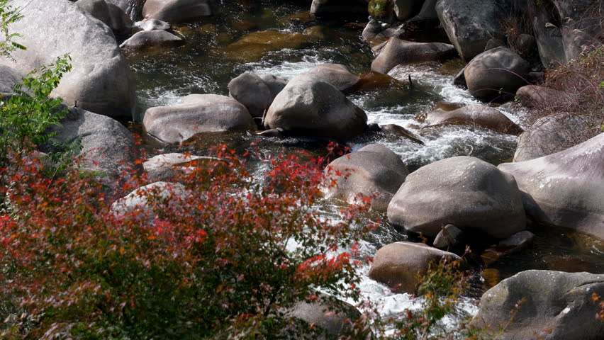 River Flowing in the Shosenkyo Gorge, Yamanashi Prefecture, Japan (zoom in)