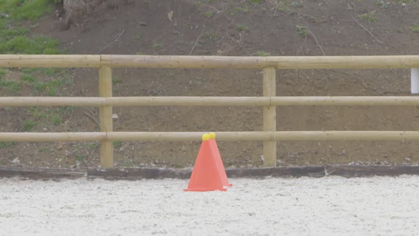 Slow motion close up ground level shot of scurry driving. Horse sports. Equitation show
