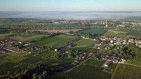 Aerial view of vineyard under fog, Rions, Gironde, France